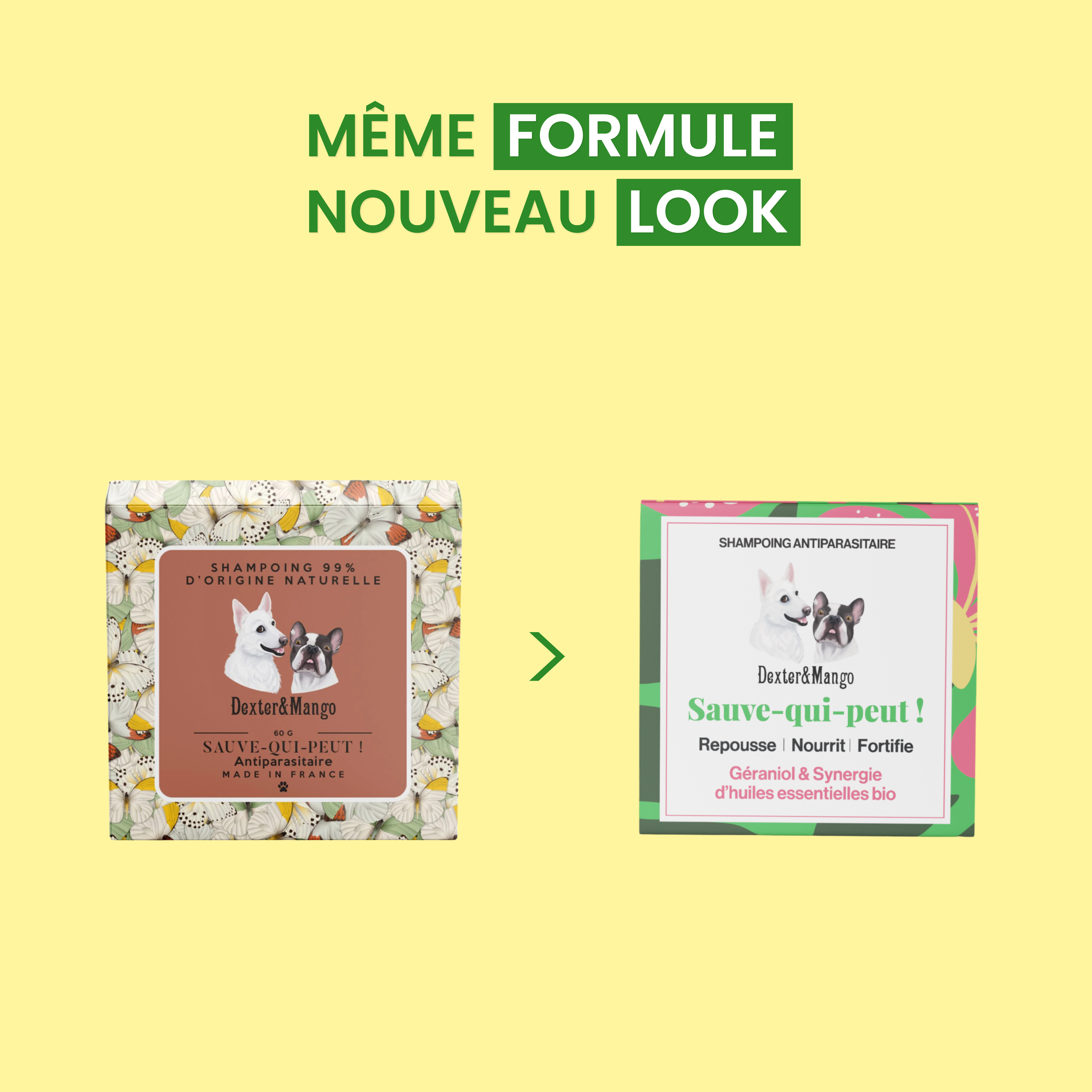 dexter-mango-sauve-qui-peut-shampoing-antiparasitaire-chien image 6