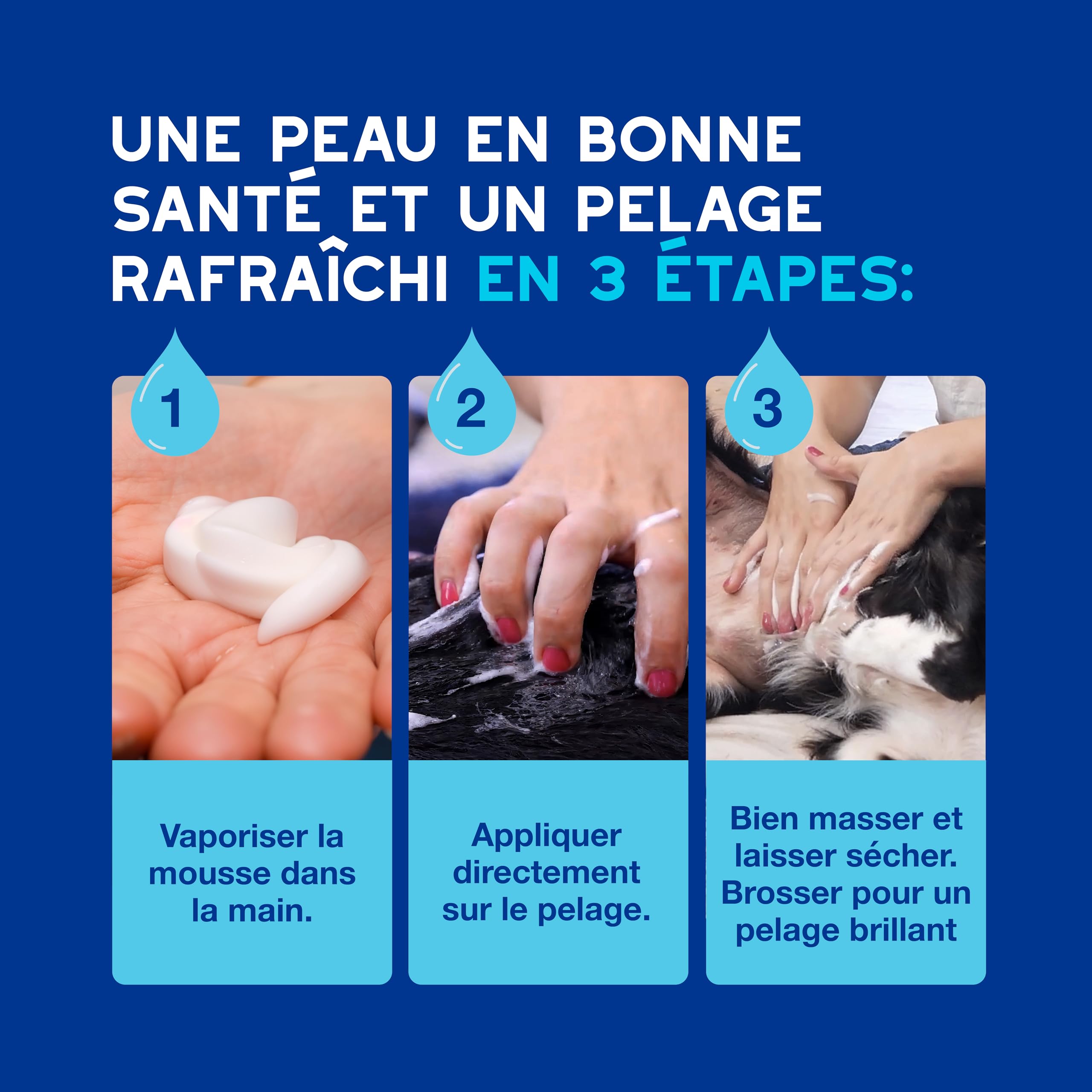 douxo-spa-skin-coat-mousse-sans-rin-age-chien image 6