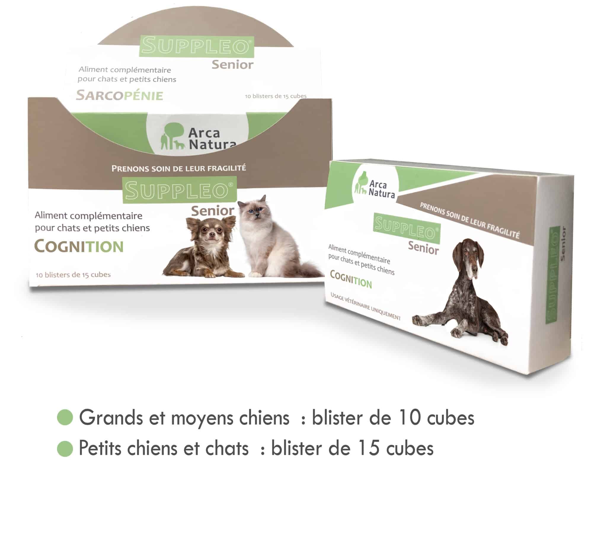 arcanatura-suppleo-senior-cognition-compl-ment-chien-g-m-moire image 1