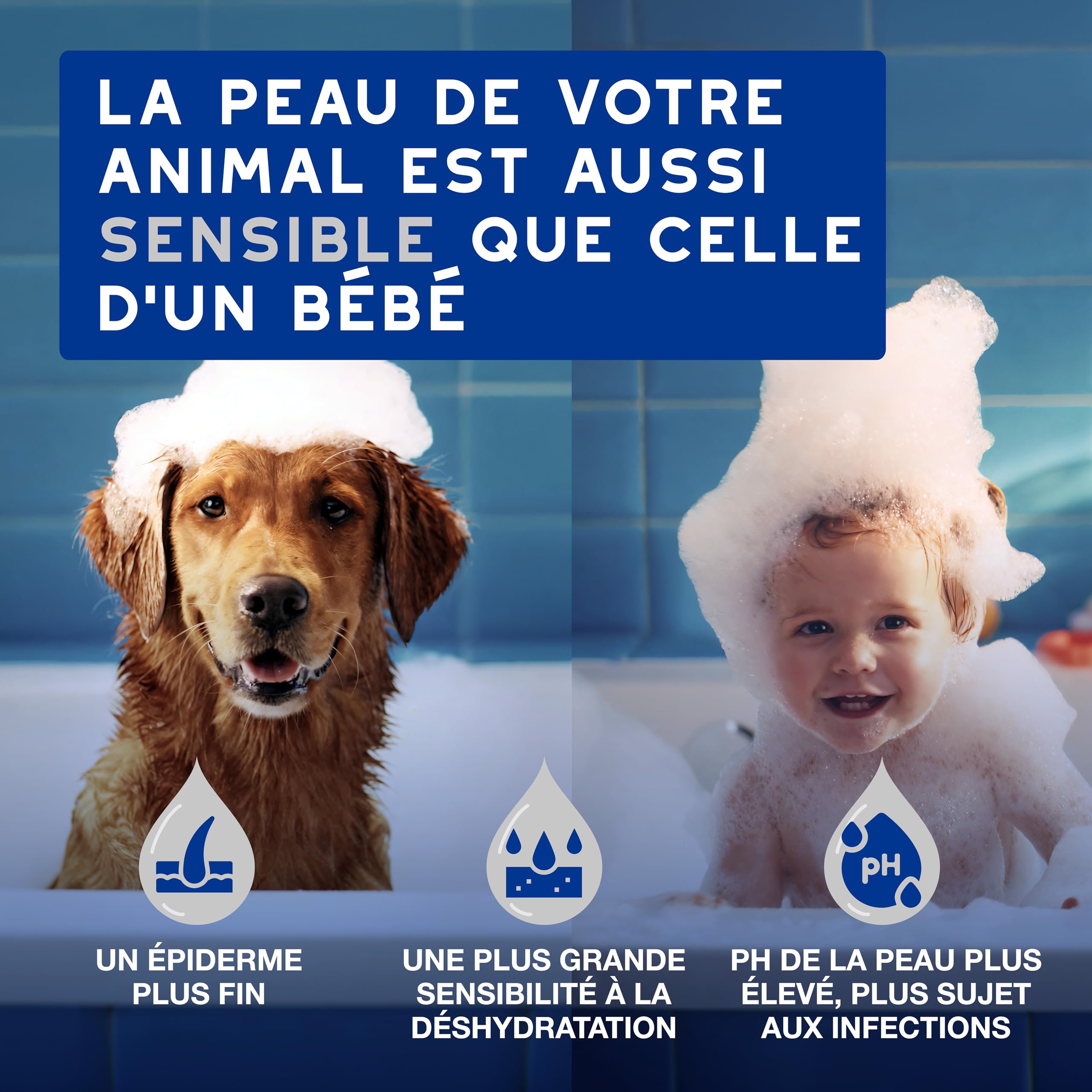 douxo-spa-lingettes-chien-chat-amande-douce-hypoallerg-niques image 3