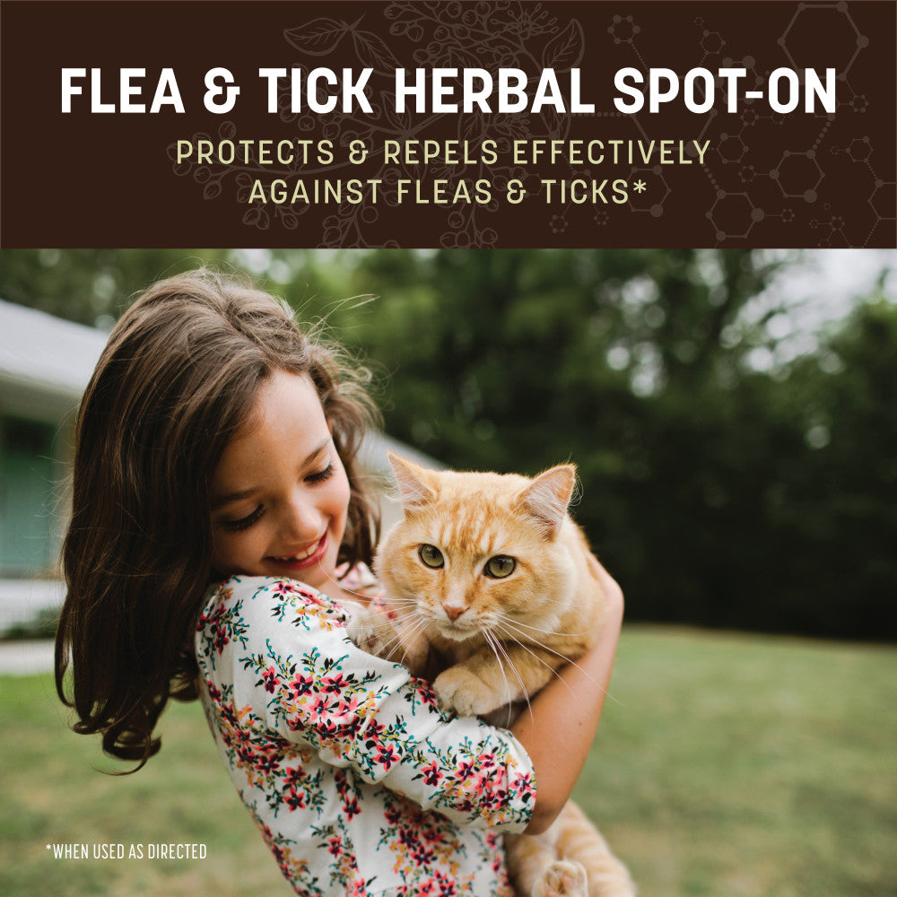 earth-animal-nature-s-protection-spot-on-chat-herbes image 2