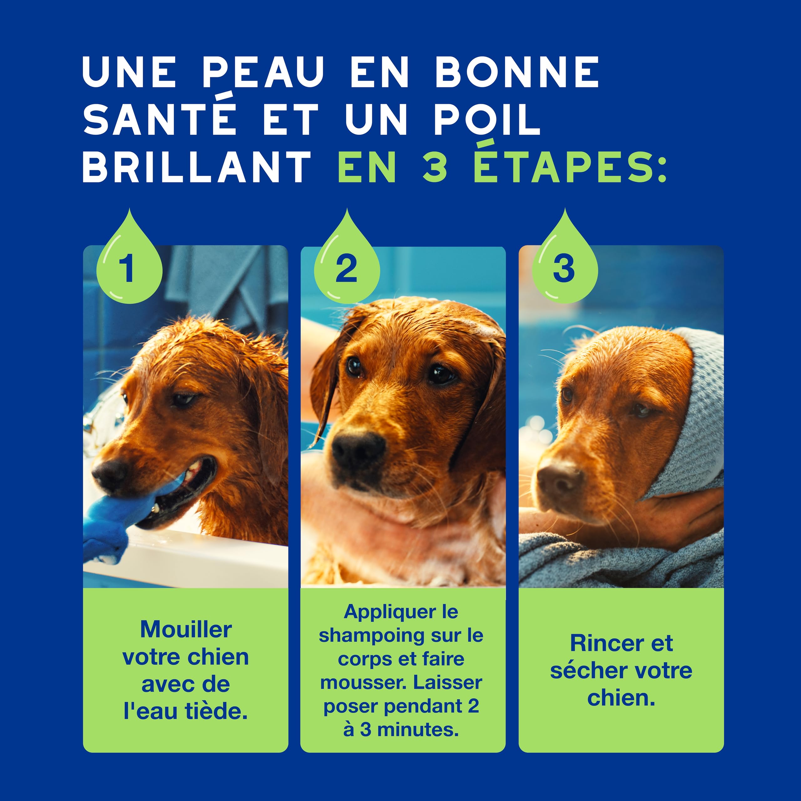 douxo-spa-skin-coat-spa-shampoing-chiot-hypoallerg-nique-pr-biotique image 6