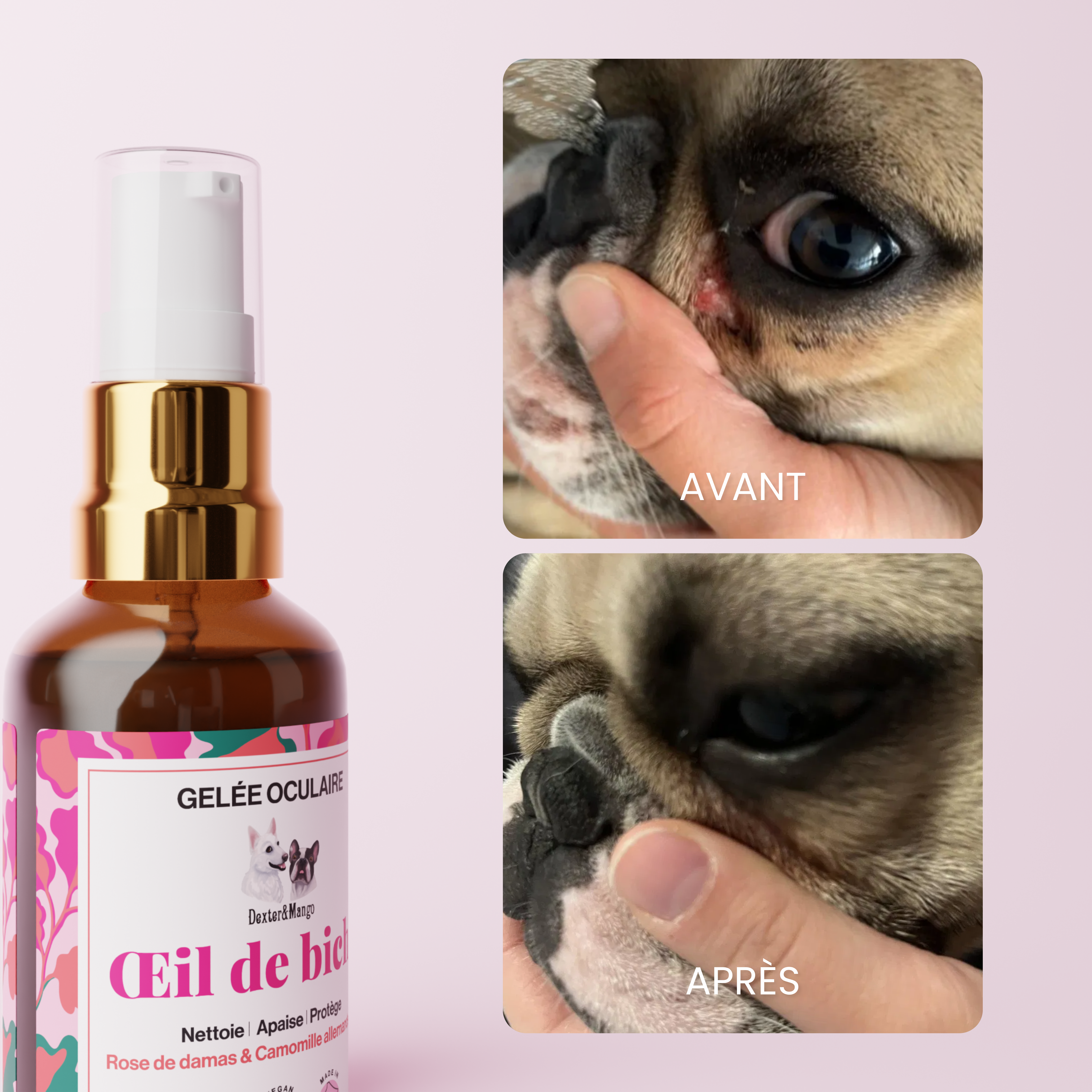 dexter-mango-il-de-biche-gel-e-oculaire-chien-hydrolats-bio image 6