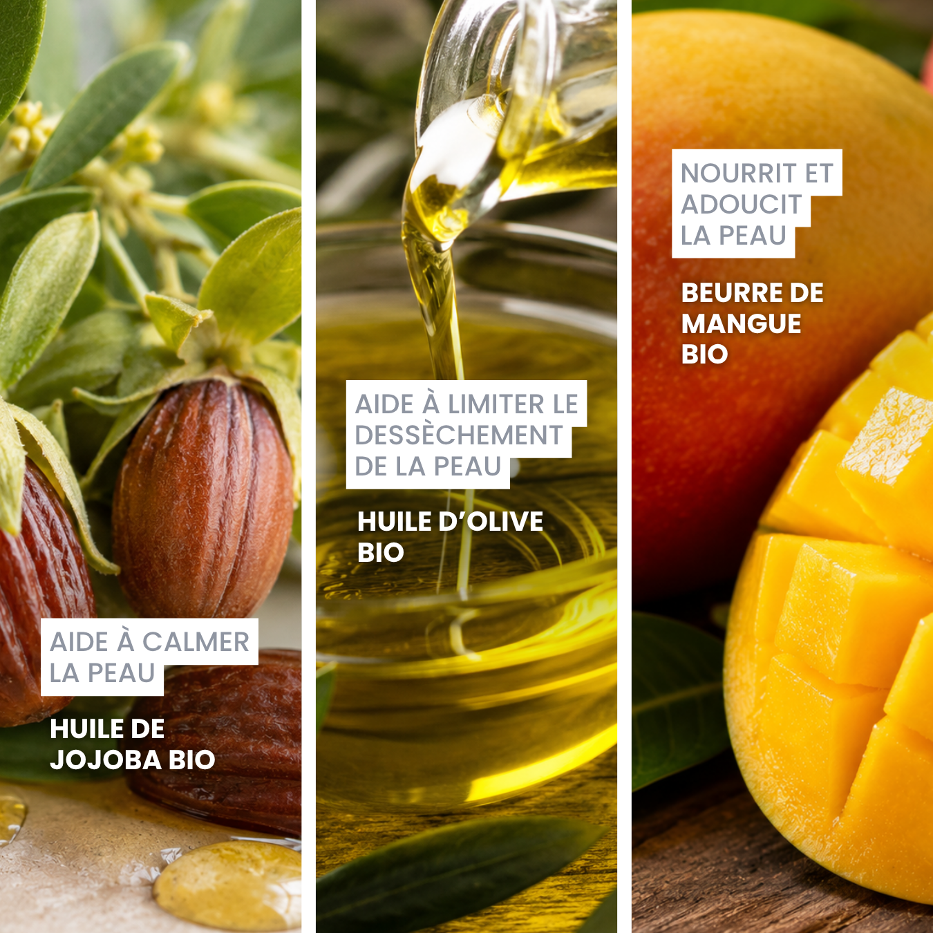 dexter-mango-belle-truffe-baume-truffe-chien-100-naturel image 3