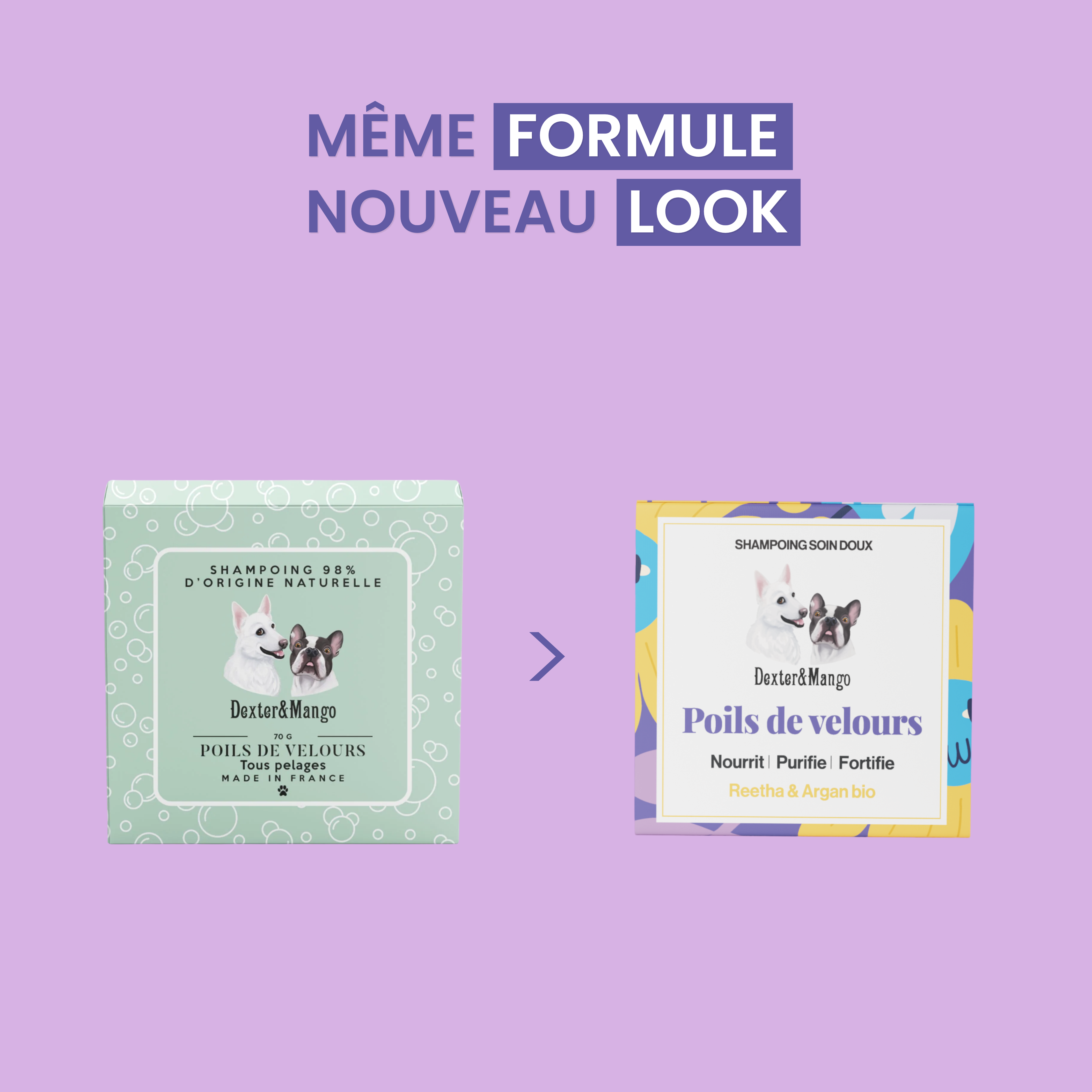 dexter-mango-poils-de-velours-shampoing-solide-chien-doux image 6