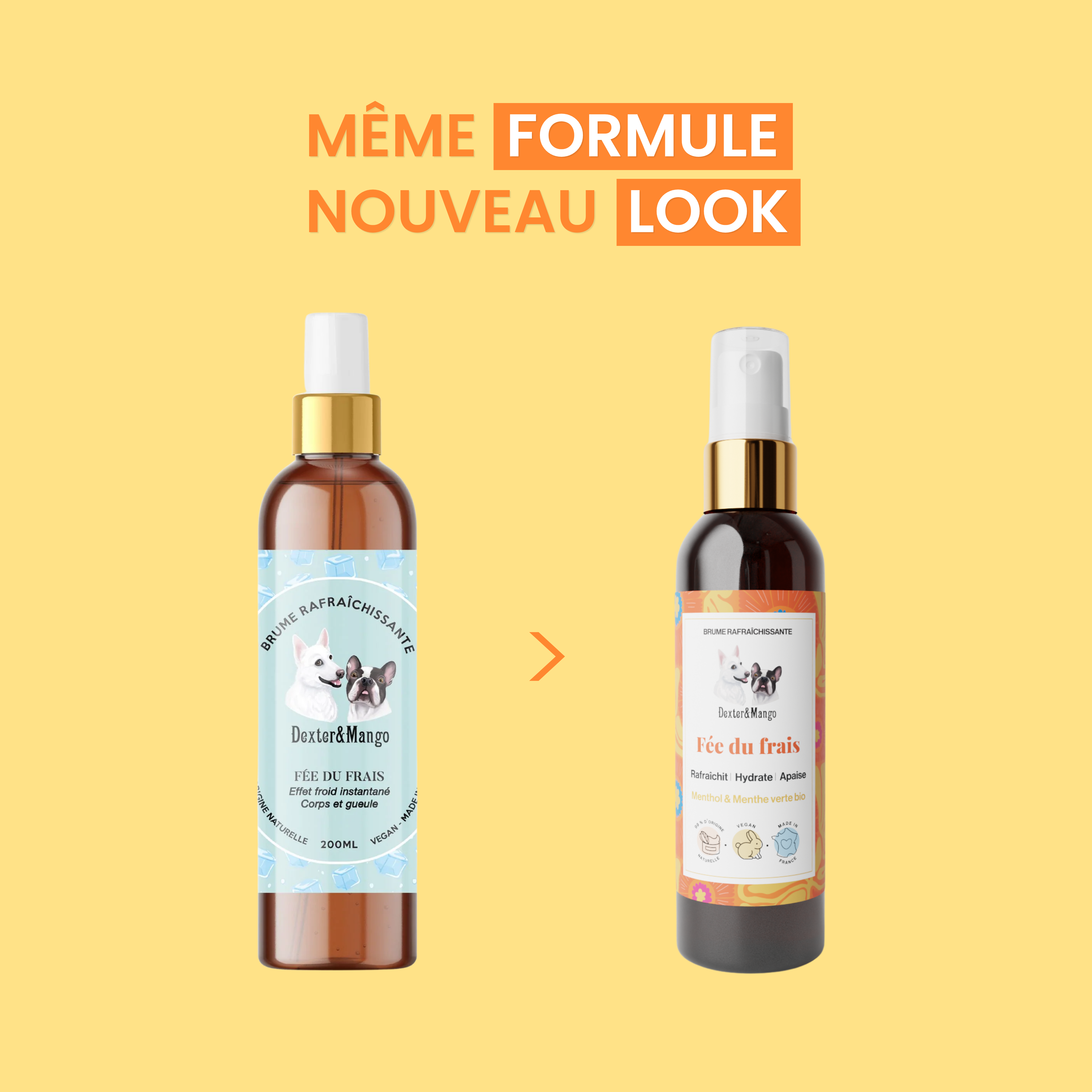 dexter-mango-f-e-du-frais-brume-rafra-chissante-chien image 6