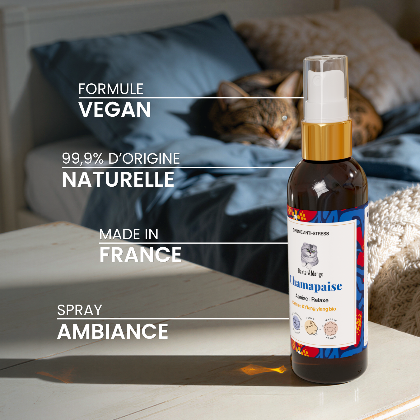 dexter-mango-chamapaise-brume-apaisante-chat-cataire image 4