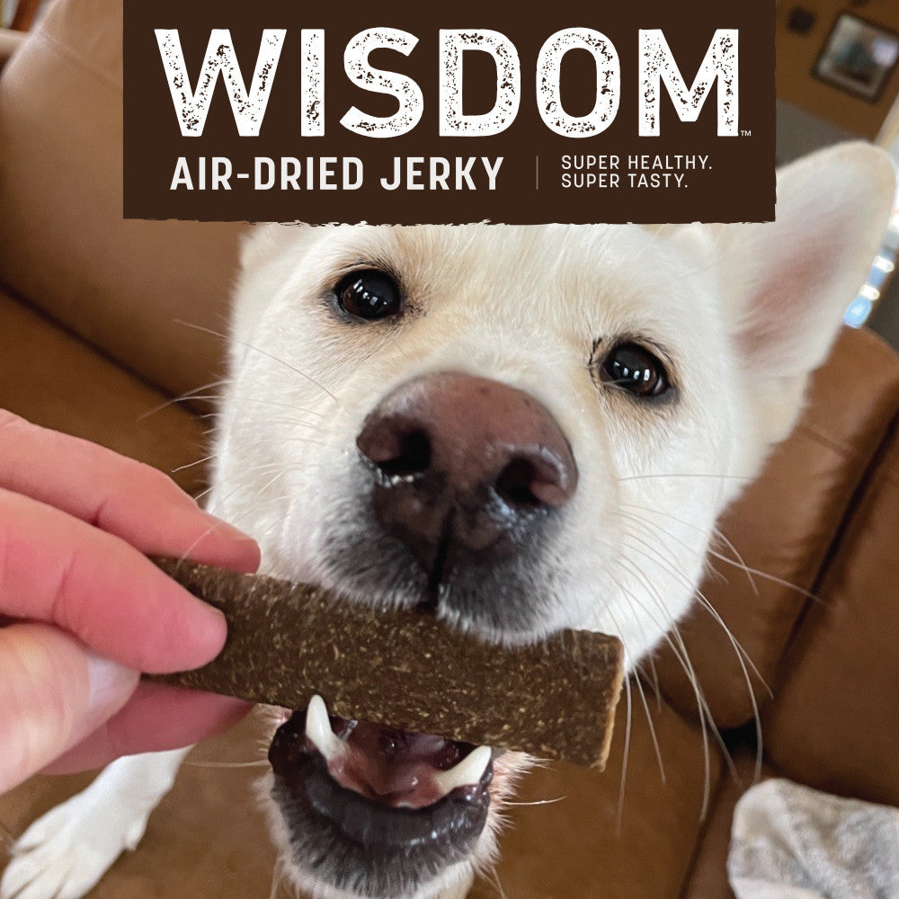 earth-animal-wisdom-jerky-chien-v-g-tal-113-g-seed image 3