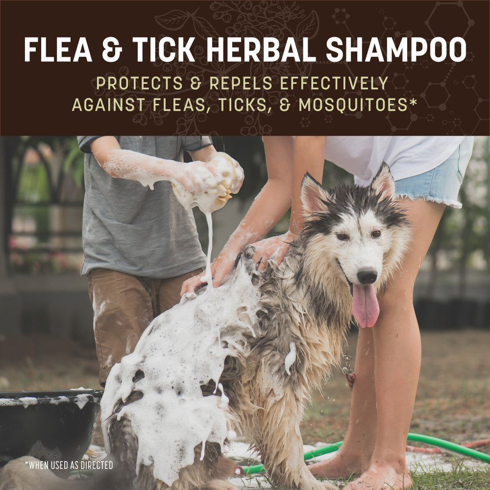 earth-animal-nature-s-protection-shampoing-puces-chien-12-oz image 2