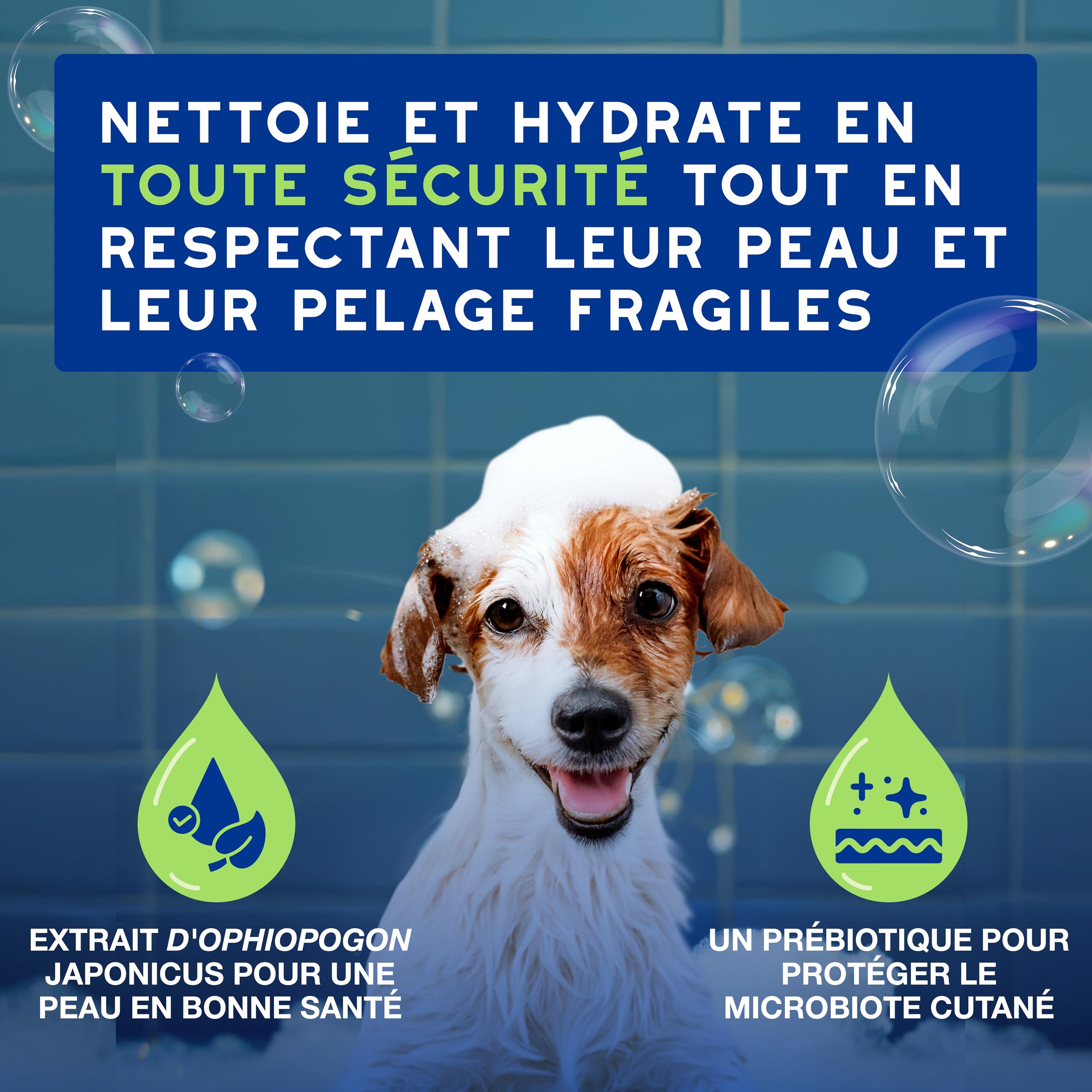 douxo-spa-skin-coat-spa-shampoing-chiot-hypoallerg-nique-pr-biotique image 2