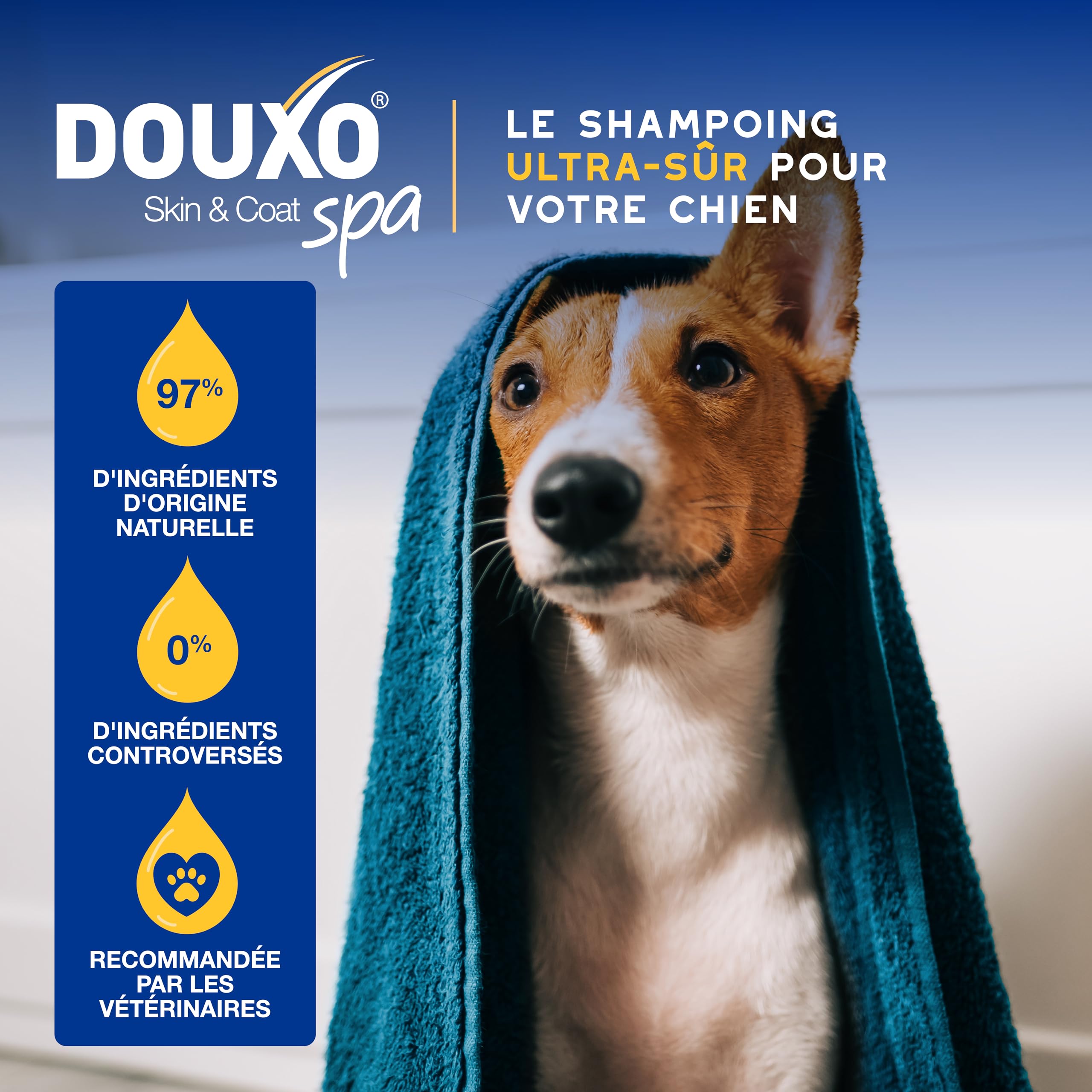 douxo-spa-skin-coat-spa-shampoing-chien-hydratant-avoine image 4