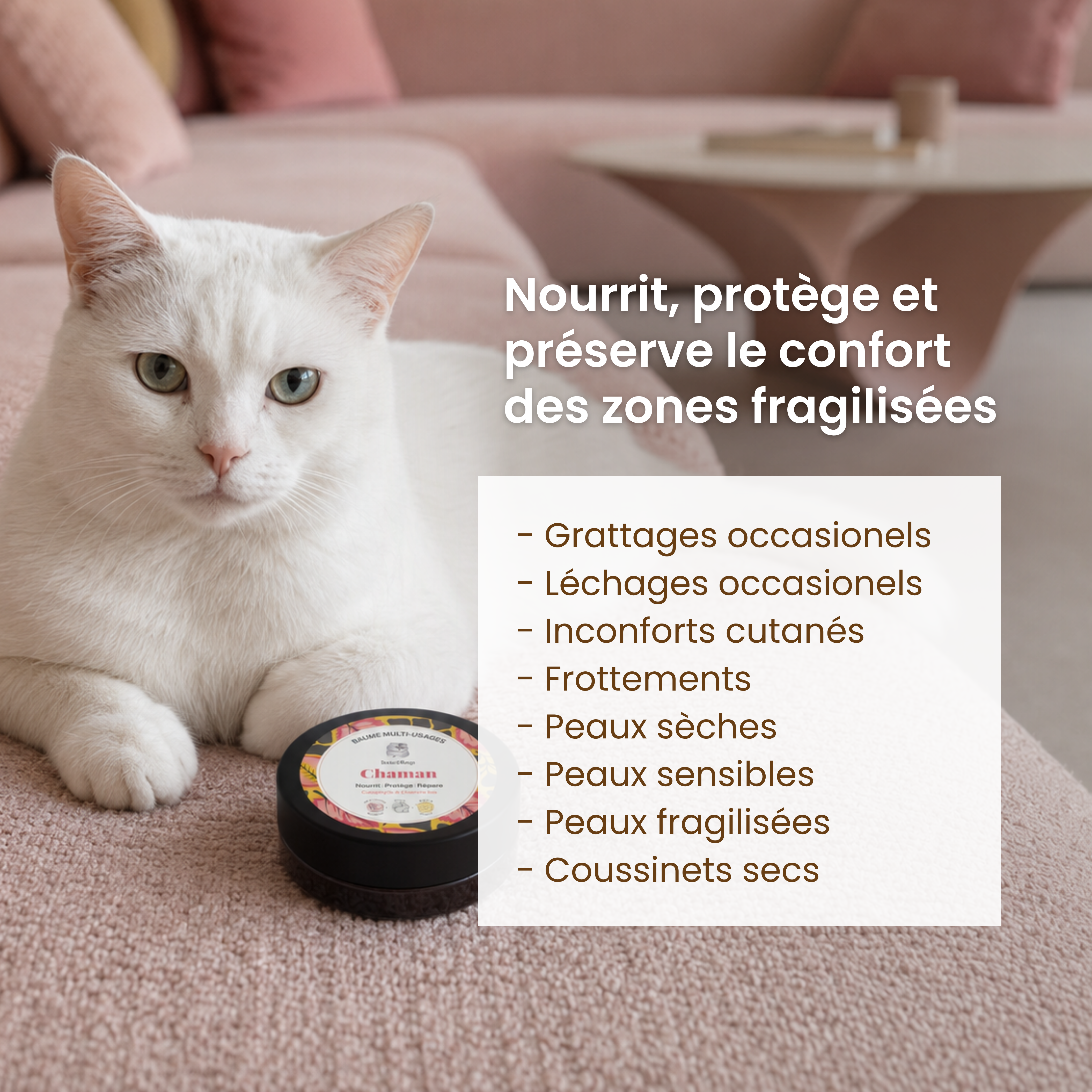 dexter-mango-chaman-baume-chat-naturel-irritations image 2