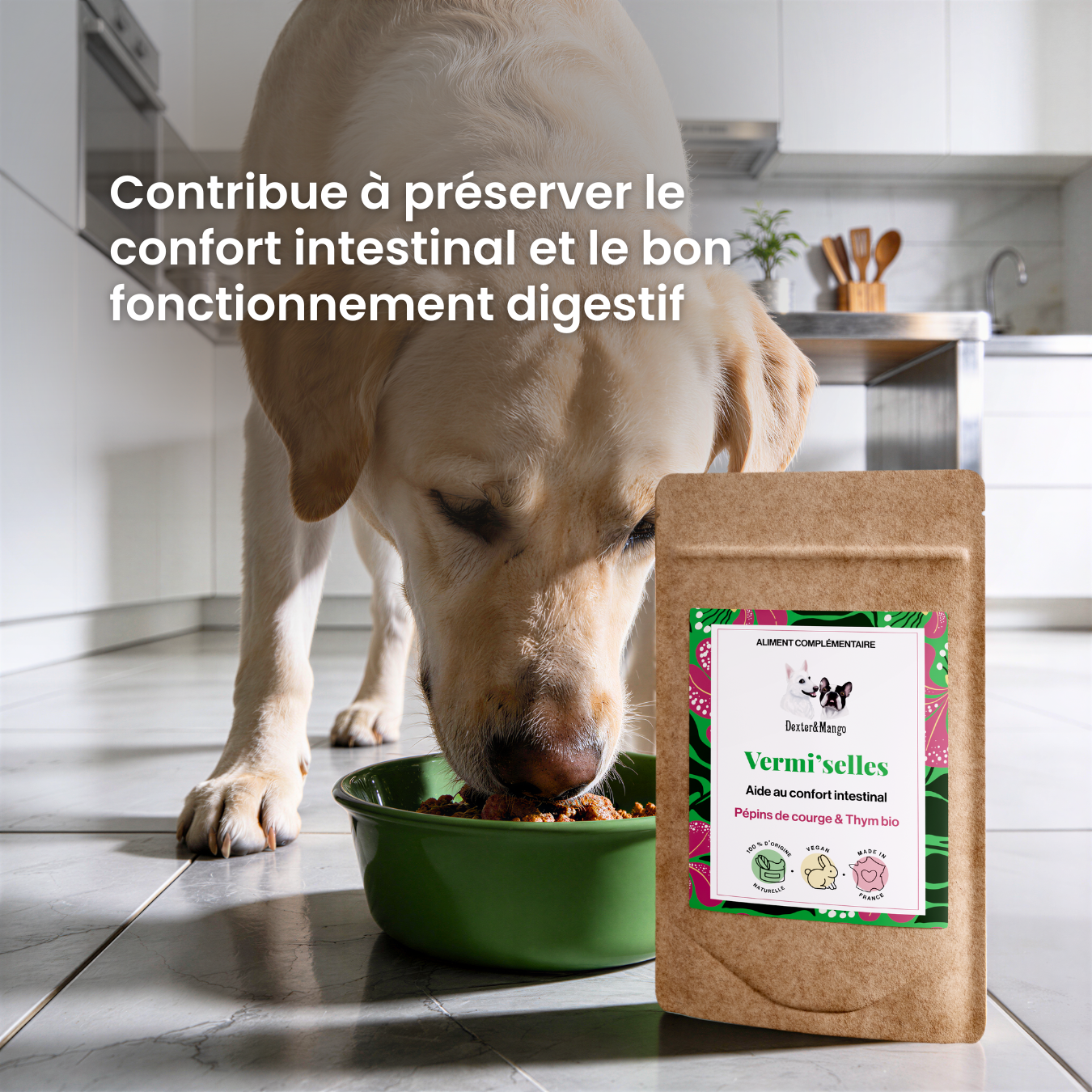 dexter-mango-vermi-selles-compl-ment-digestif-chien-chat-ail-thym image 2