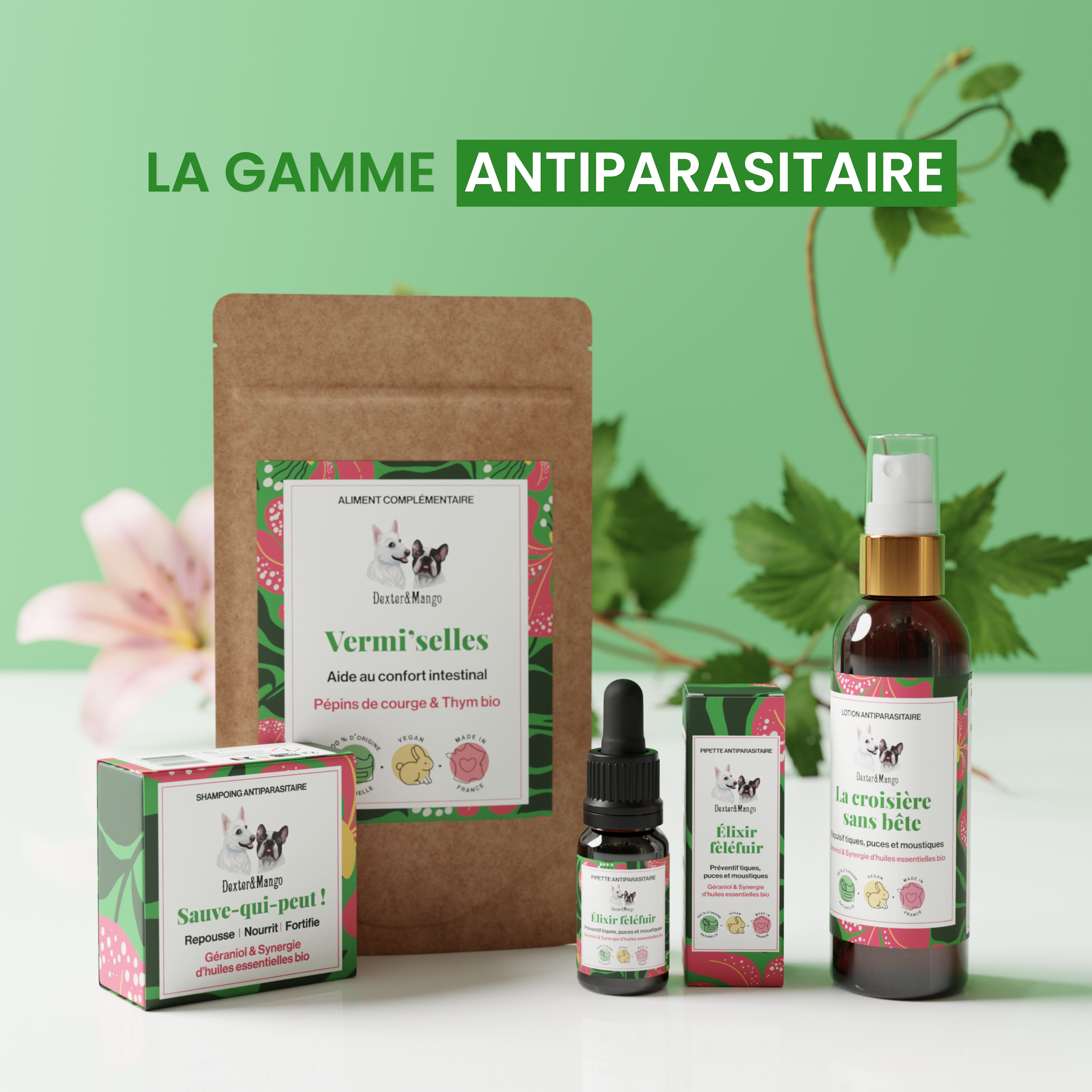 dexter-mango-sauve-qui-peut-shampoing-antiparasitaire-chien image 7