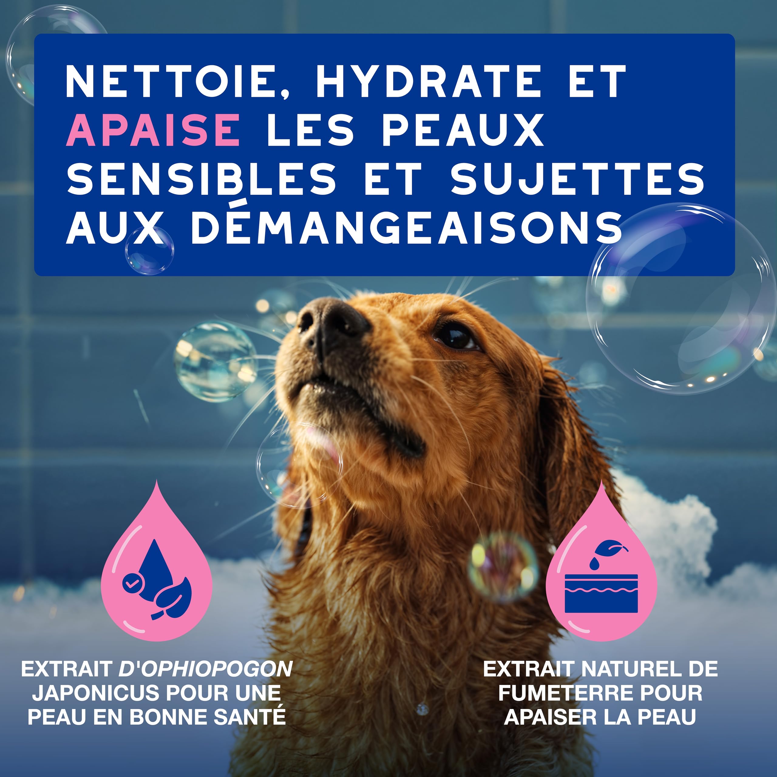 douxo-skin-coat-spa-shampoing-chien-anti-d-mangeaisons-fumeterre image 2