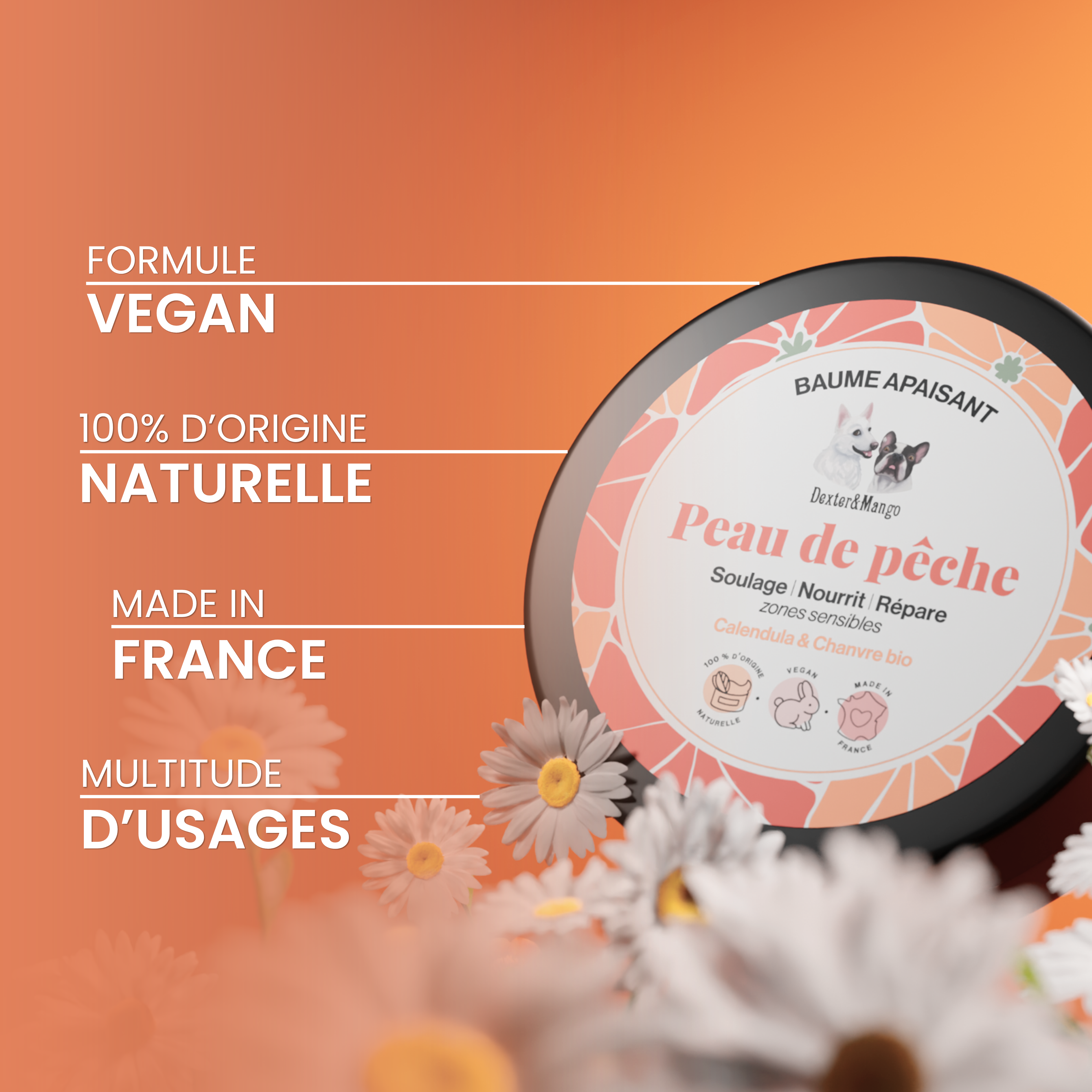 dexter-mango-peau-de-p-che-baume-chien-zones-d-licates image 6