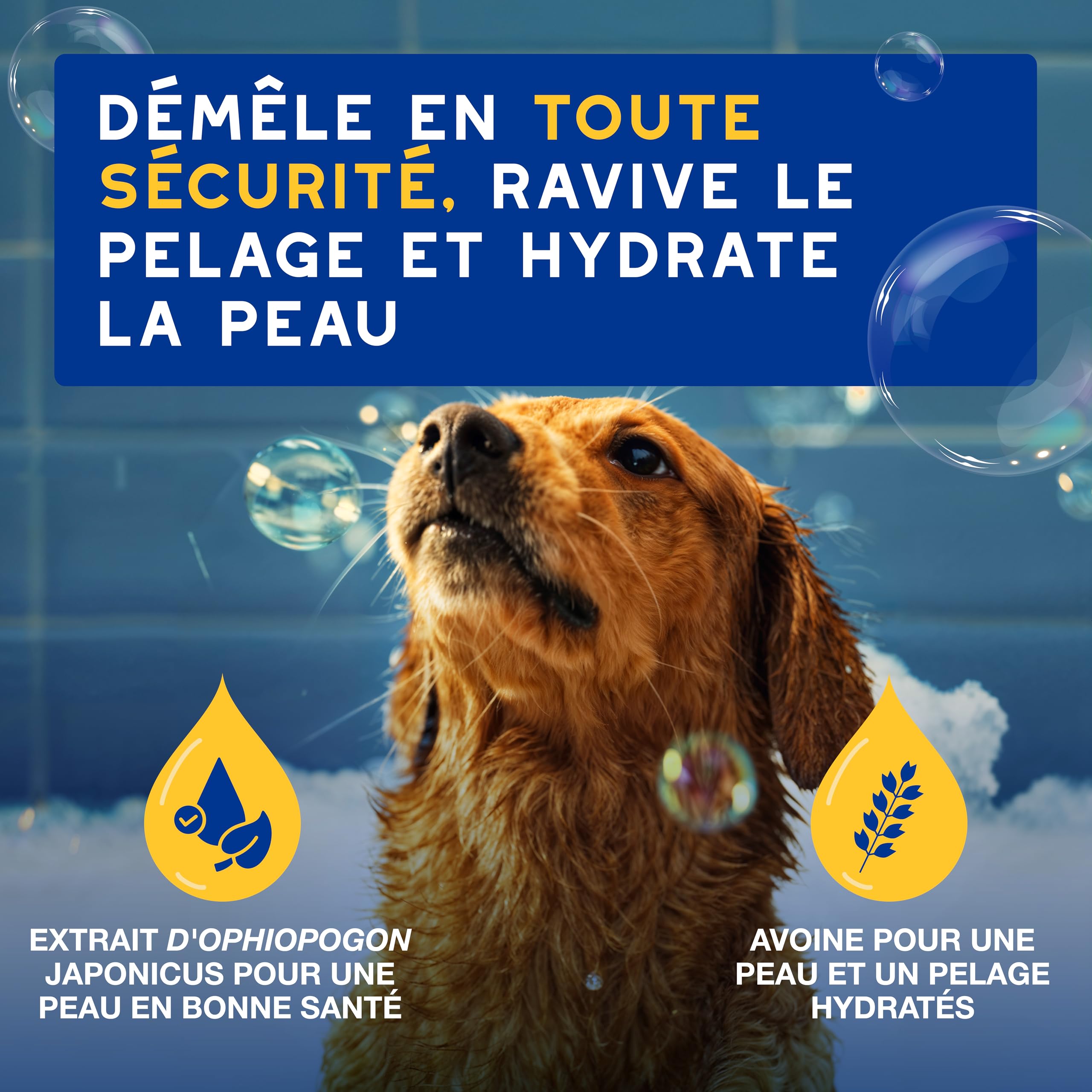 douxo-spa-skin-coat-apr-s-shampoing-chien-avoine image 2