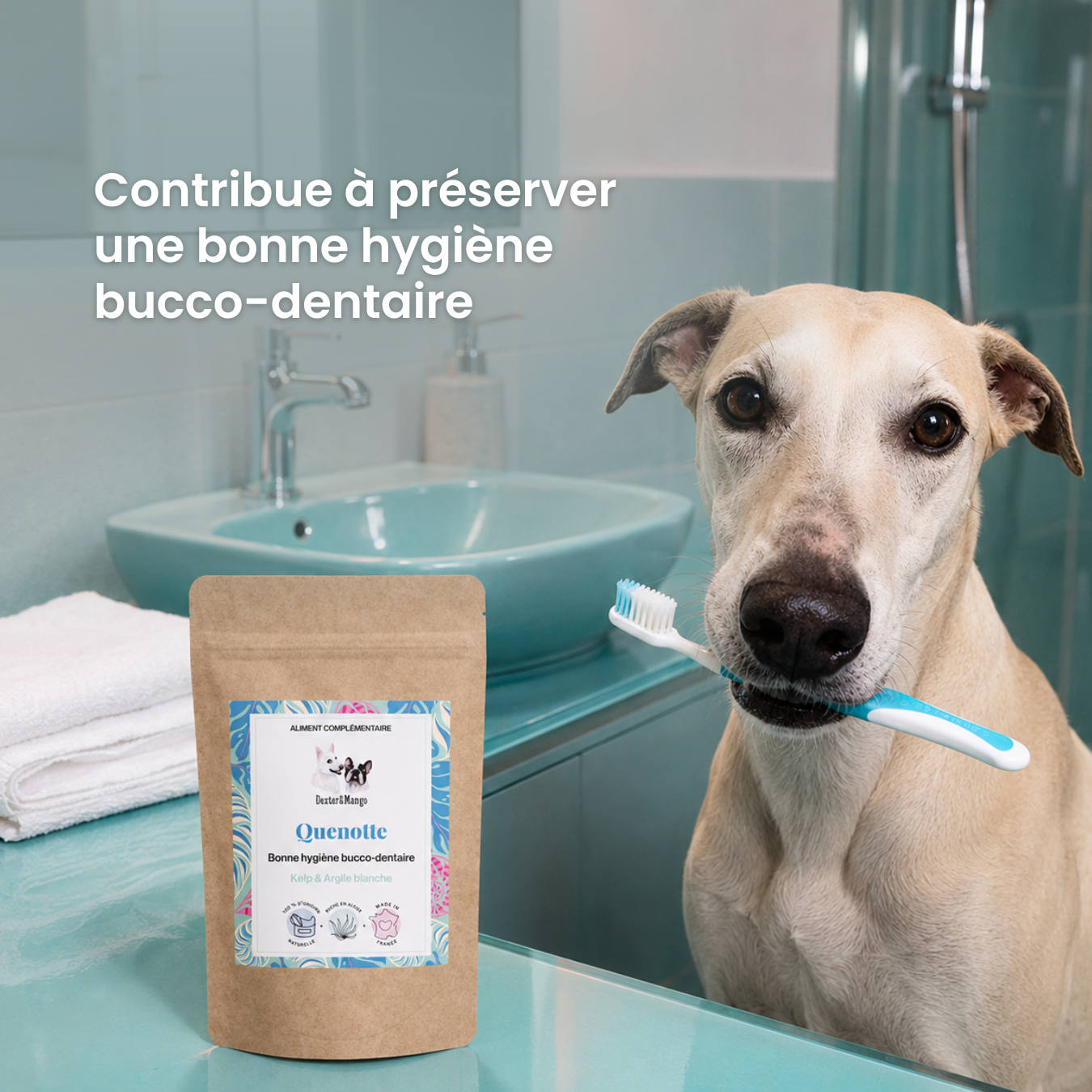 dexter-mango-quenotte-compl-ment-dentaire-chien-chat image 2