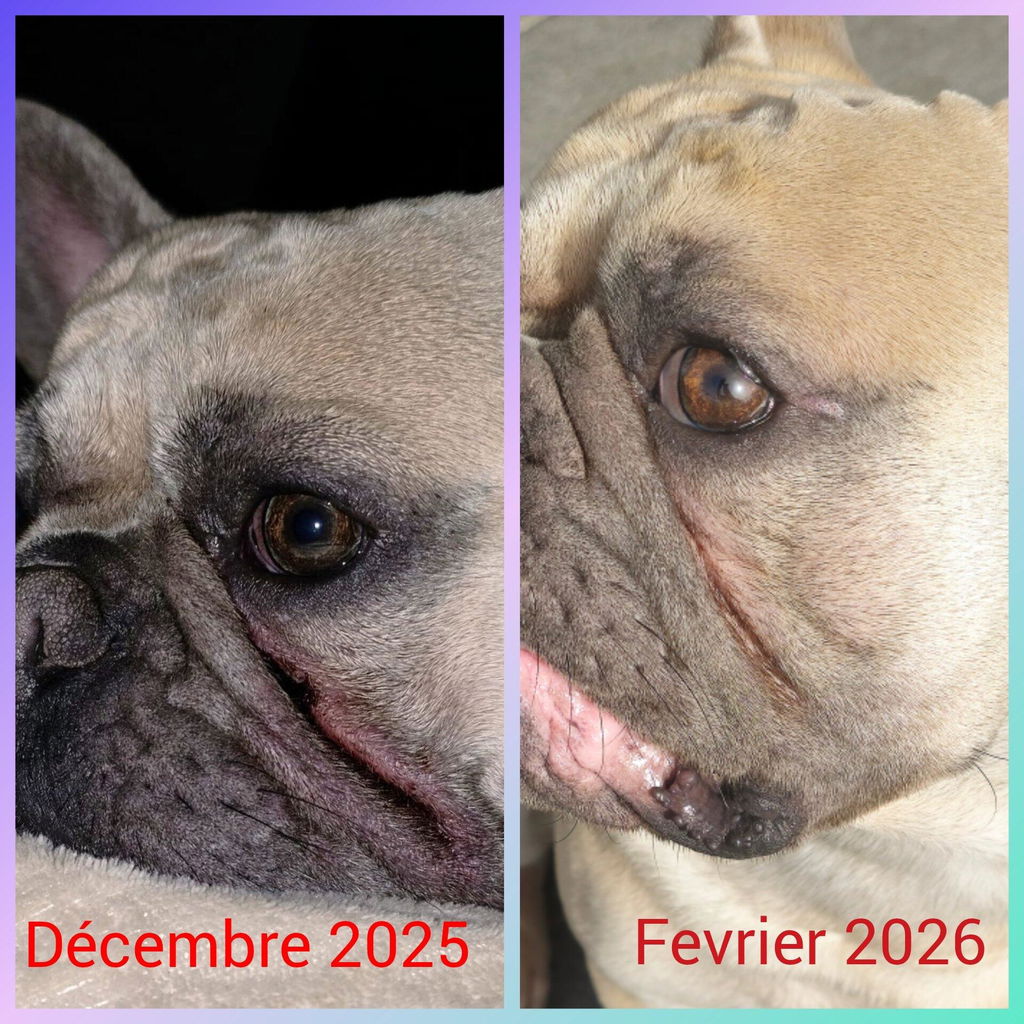 Application ciblée