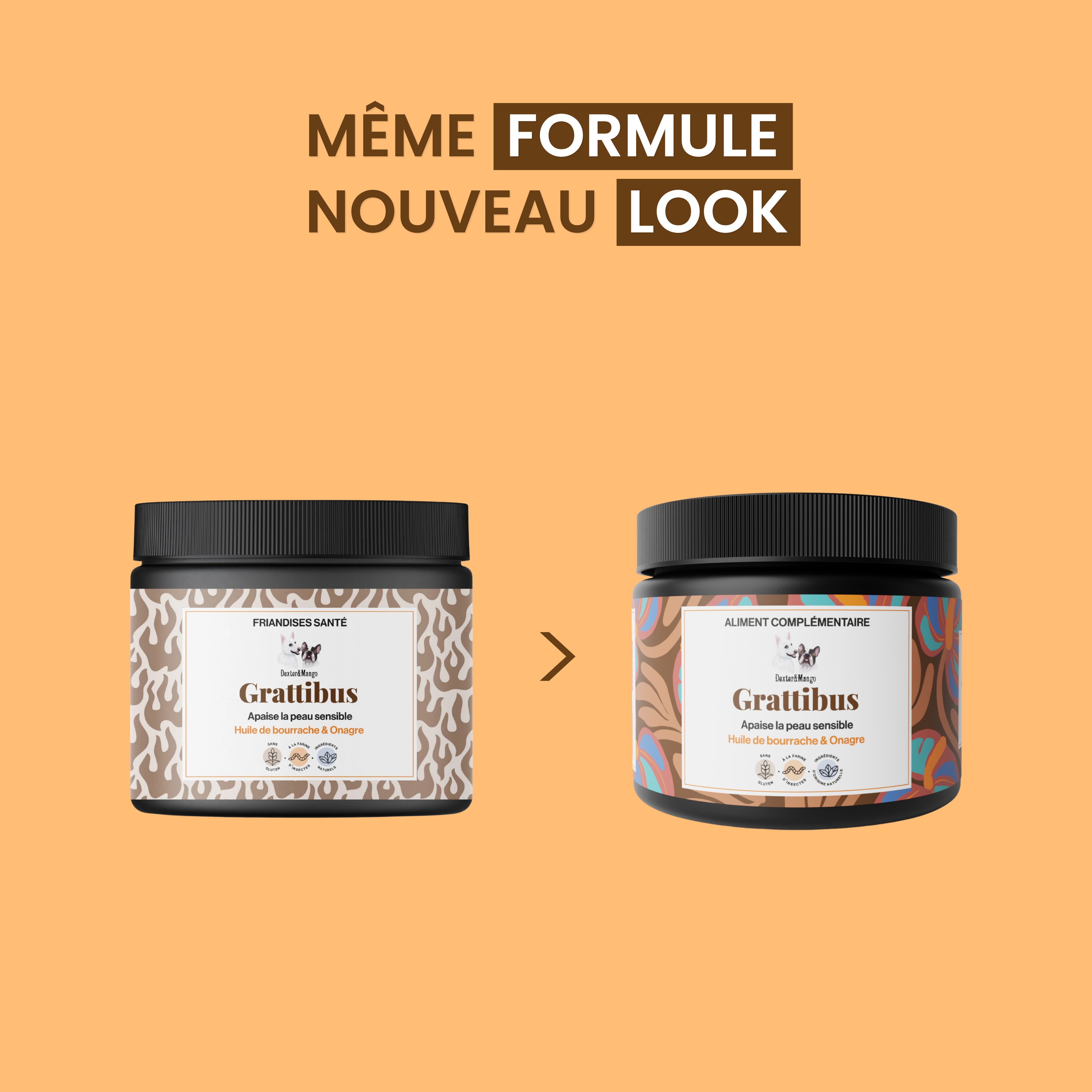 dexter-mango-grattibus-bouch-es-peau-pelage-chien image 6